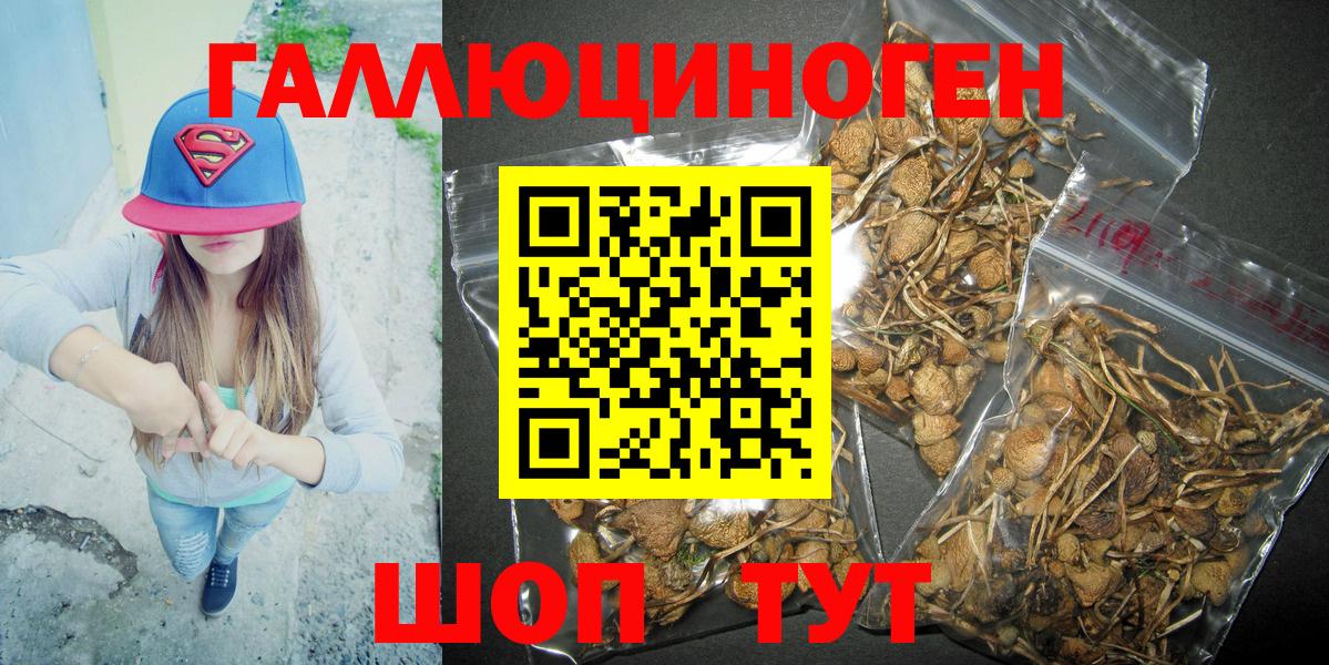 Галлюциногенные грибы GOLDEN TEACHER Ирбит